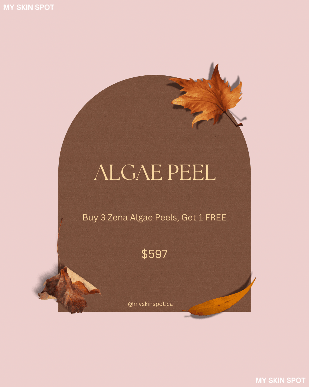 ALGAE PEEL BUY 3 GET 1 FREE - MY SKIN SPOT